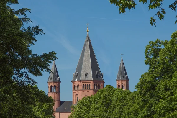 Mainz Cathedral — Stock Photo, Image