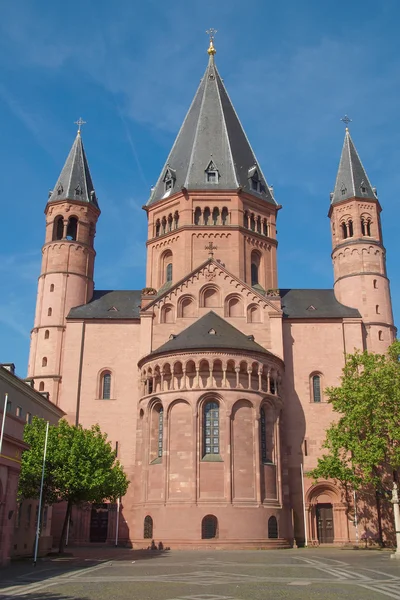 Mainz Cathedral — Stock Photo, Image