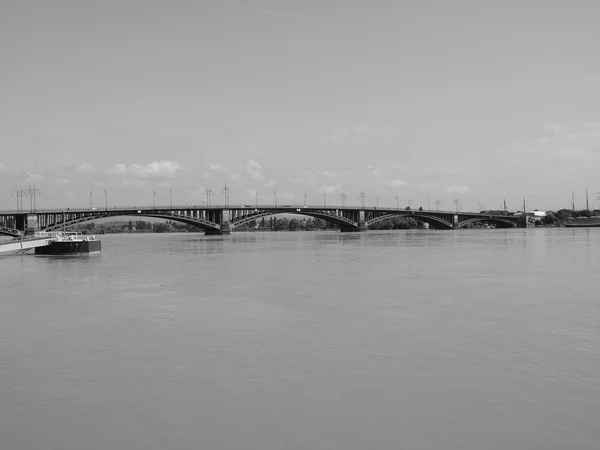 Rhine flod i mainz — Stockfoto