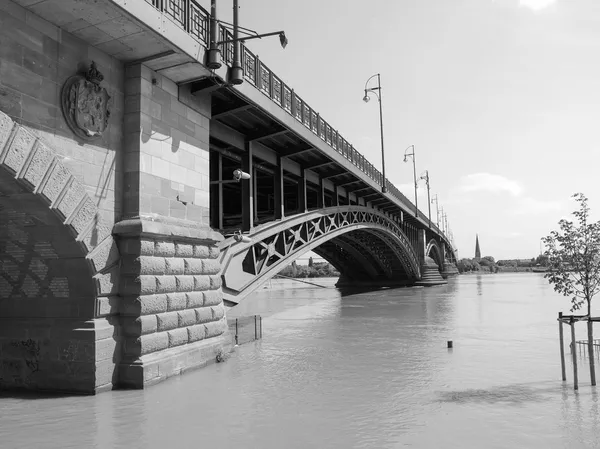 ドイツでの洪水します。 — ストック写真