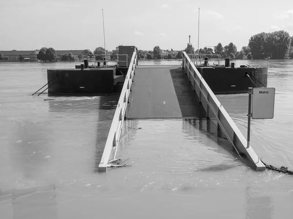 Flood in Germany — Stock Photo, Image