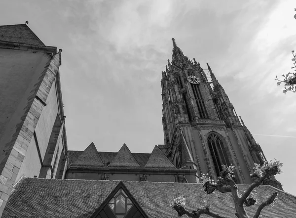 Frankfurt Katedrali'ne — Stok fotoğraf