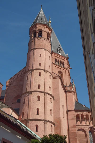 Katedra w Moguncji — Zdjęcie stockowe