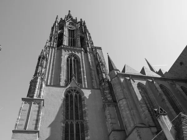 Frankfurter Dom — Stockfoto