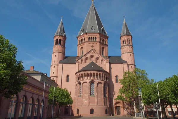 Mainz Cathedral — Stock Photo, Image