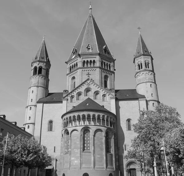 Mainz Cathedral — Stock Photo, Image