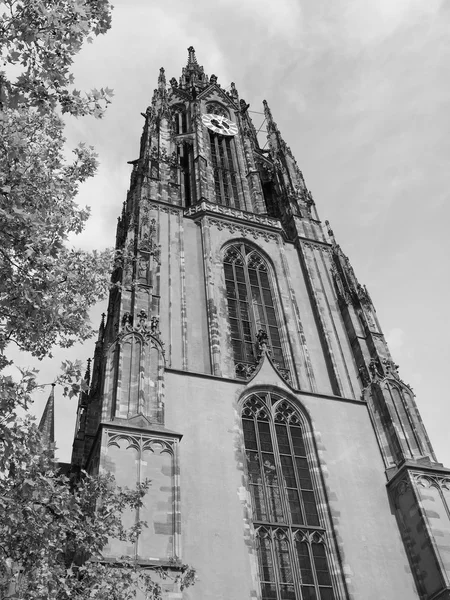 Cattedrale di Francoforte — Foto Stock