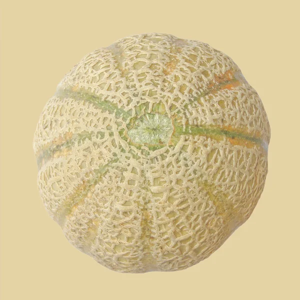 Melonfrukt — Stockfoto