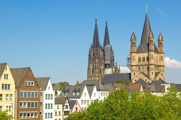 Koeln Dom — Foto Stock