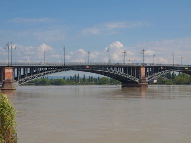Ren Nehri Mainz