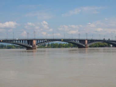 Ren Nehri Mainz