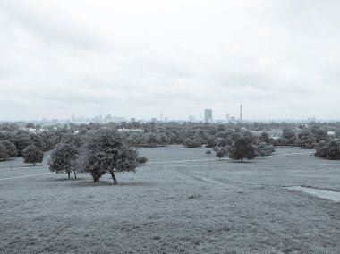 Primrose hill Londra