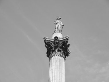Nelson sütunu Londra
