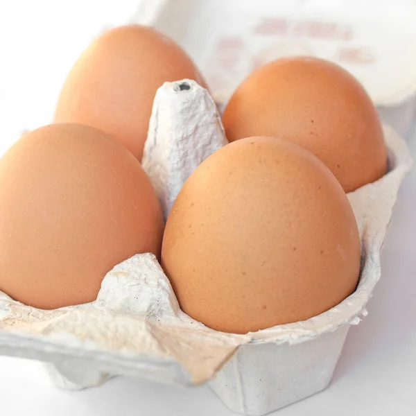 Yumurta resim — Stok fotoğraf