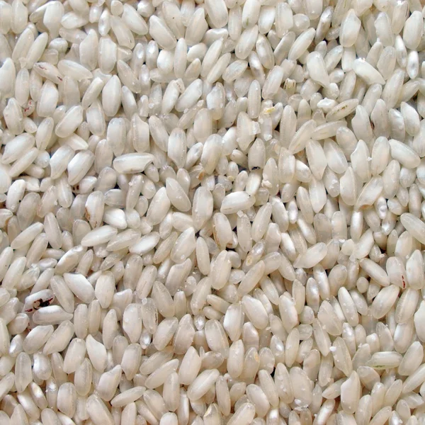 Imagem de arroz — Fotografia de Stock