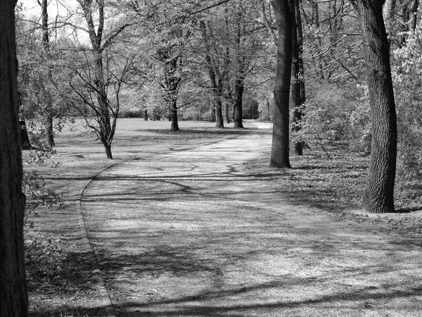Parku Tiergarten, Berlin — Zdjęcie stockowe