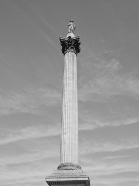 Nelson sütunu Londra