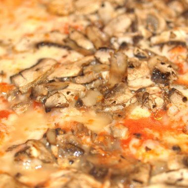 mantarlı pizza