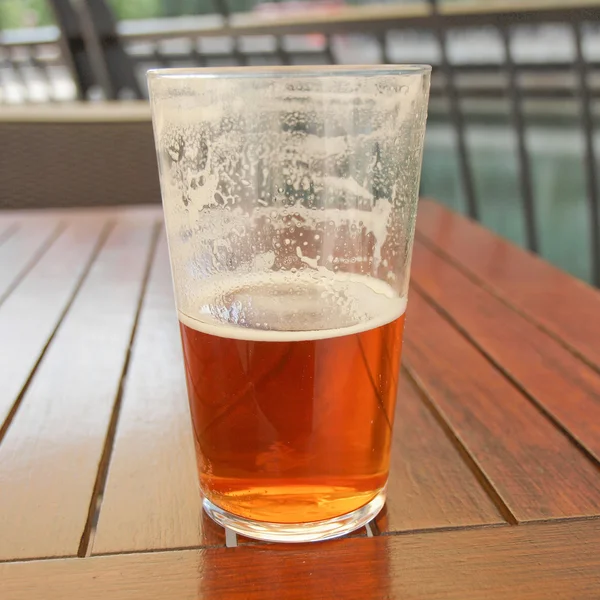 Bier trinken — Stockfoto