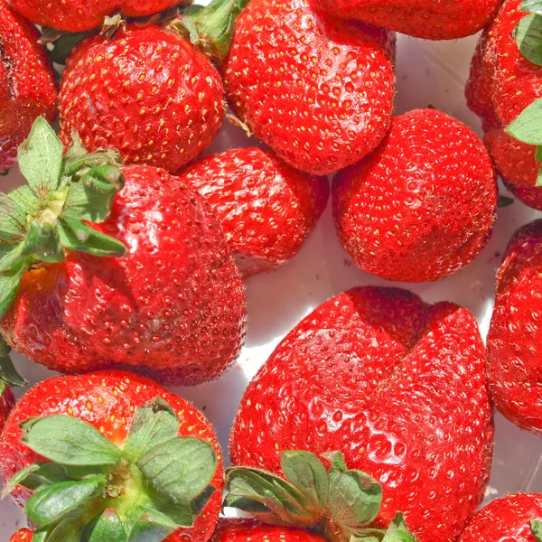 Strawberries — Stock Photo, Image