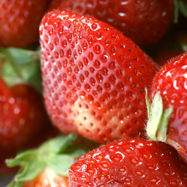 Strawberry — Stock Photo, Image