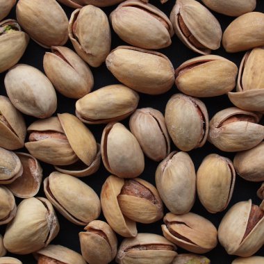 vista del fiordo en Noruega