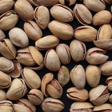 vista del fiordo en Noruega