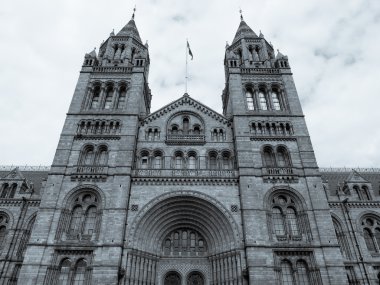 Doğal Tarih Müzesi, Londra, İngiltere