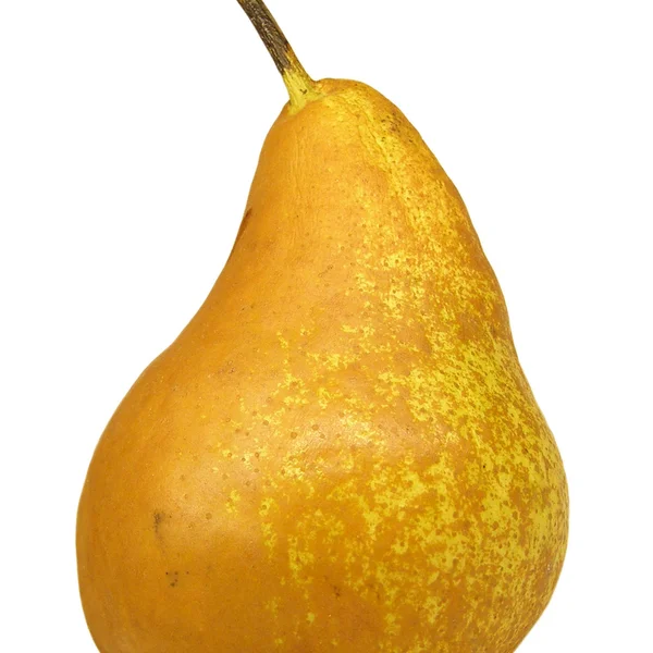 Pear picture — Stock Photo, Image