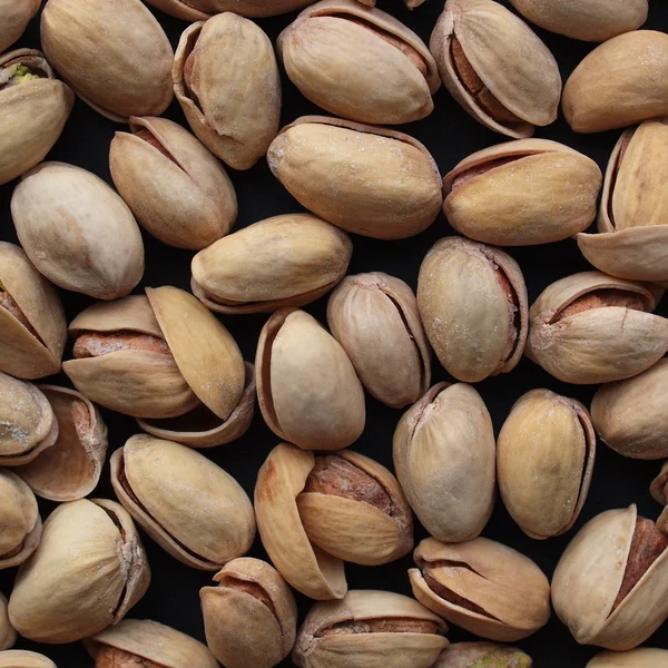 vista del fiordo en Noruega