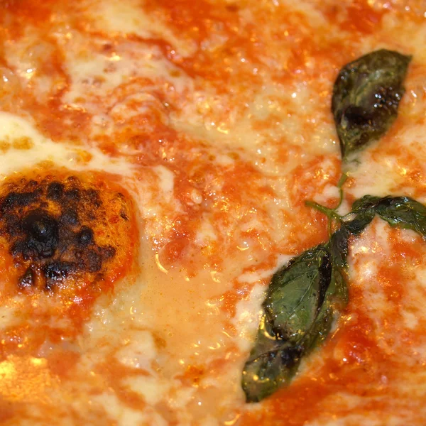 Pizza margherita — Photo