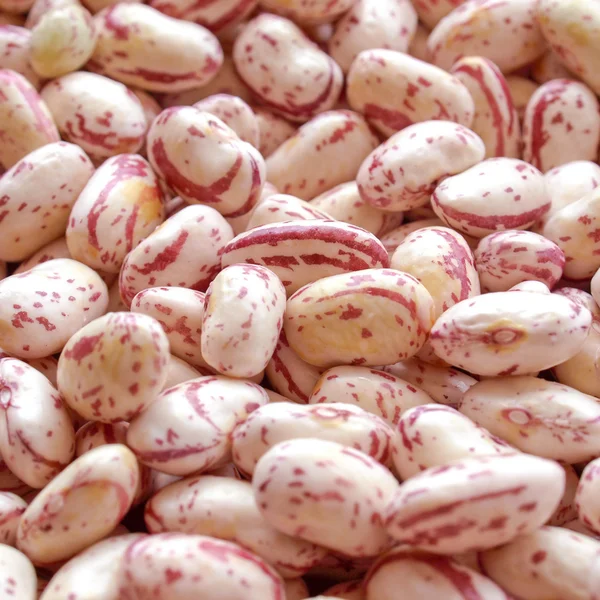 Salada de feijão — Fotografia de Stock