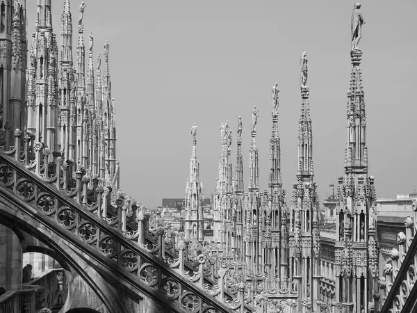 Duomo, Milan - Stok İmaj