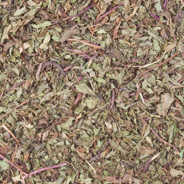 Dried peppermint — Stock Photo, Image