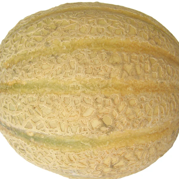 Melon picture — Stock Photo, Image