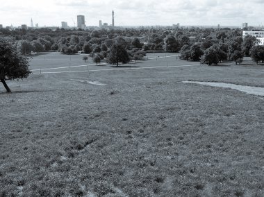 Primrose hill Londra