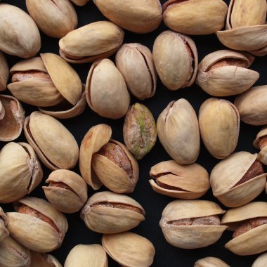 vista del fiordo en Noruega