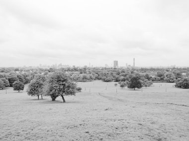 Primrose hill Londra