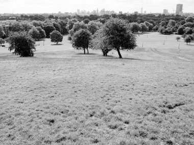Primrose hill Londra