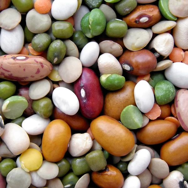 Beans salad — Stock Photo, Image