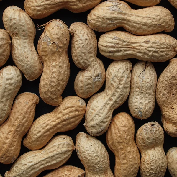 Peanut picture — Stock Photo, Image