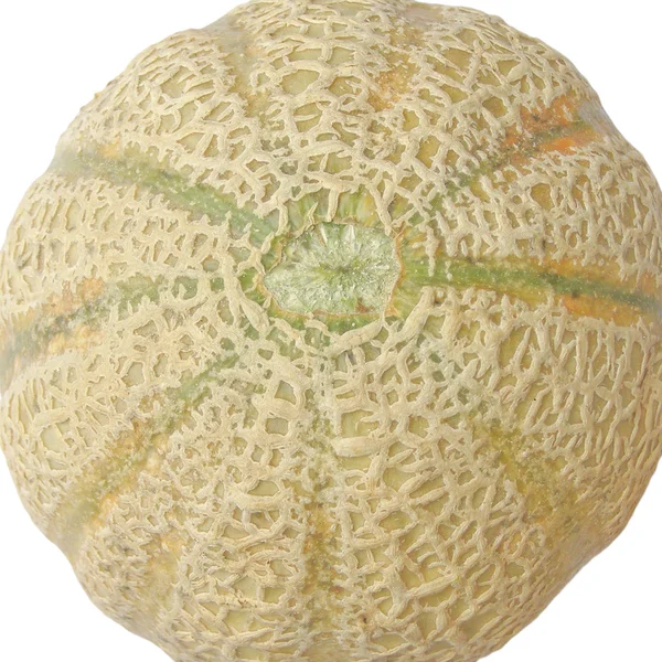 Melon picture — Stock Photo, Image