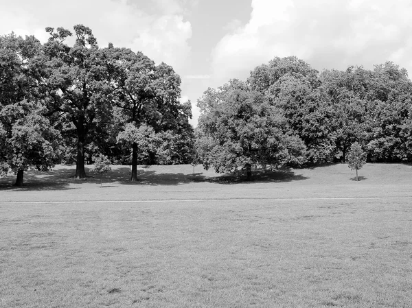 Kensington gardens Londýn — Stock fotografie