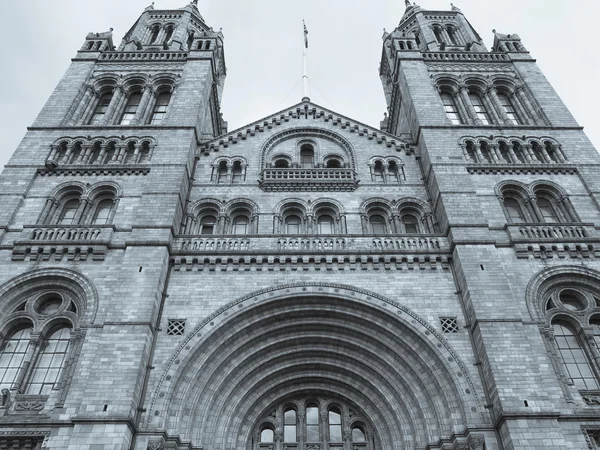 Museo de Historia Natural, Londres, Reino Unido — Foto de Stock