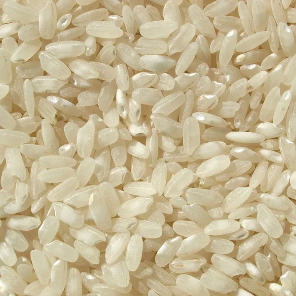 水稻图片 — 图库照片
