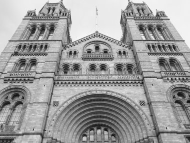 Doğal Tarih Müzesi, Londra, İngiltere