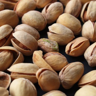 vista del fiordo en Noruega