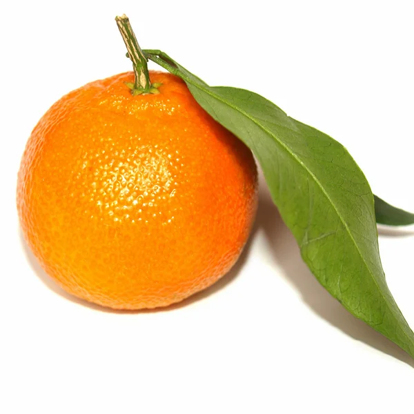 Tangerine picture — Stock Photo, Image