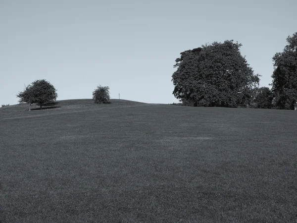 Primrose hill Londra — Stok fotoğraf