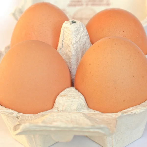 Eggs — Stock Photo, Image